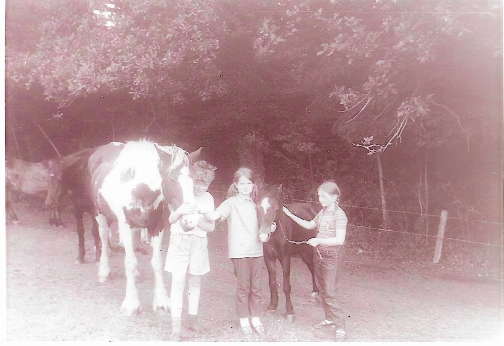Black and white photograph taken c1970, of three children, one boy and two girls, in a field with some horses and a foal.  