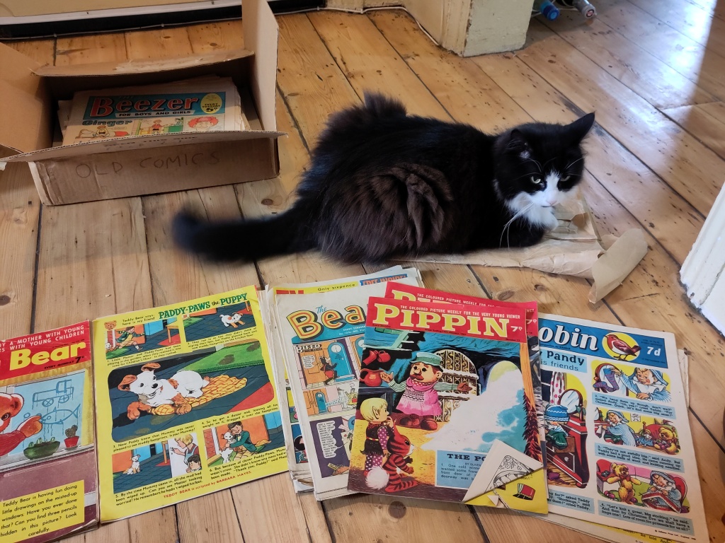 A black and white cat sitting amongst children's comics from the 1960s on a polished wood floor. 